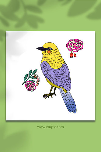 飞禽卡通鸟类动物春季小鸟元素插画