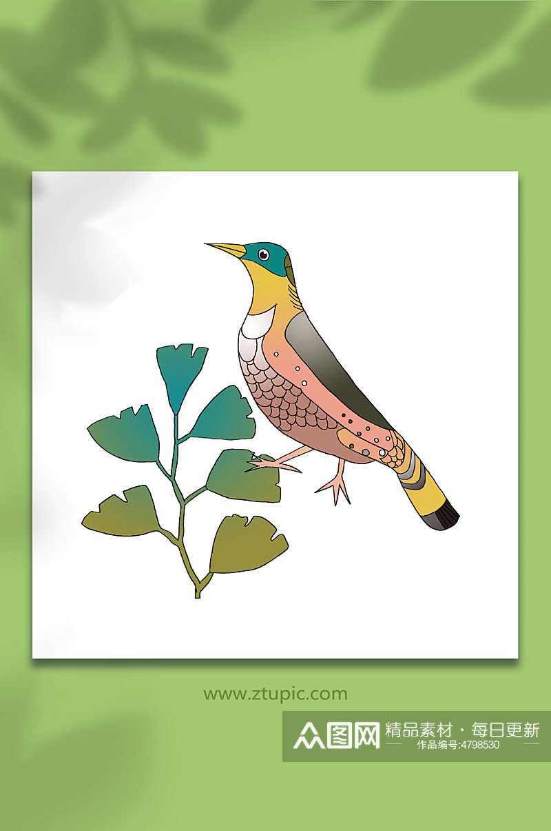 飞禽卡通鸟类动物春季小鸟元素插画素材