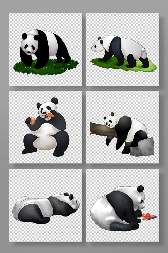 可爱卡通国宝熊猫动物元素插画