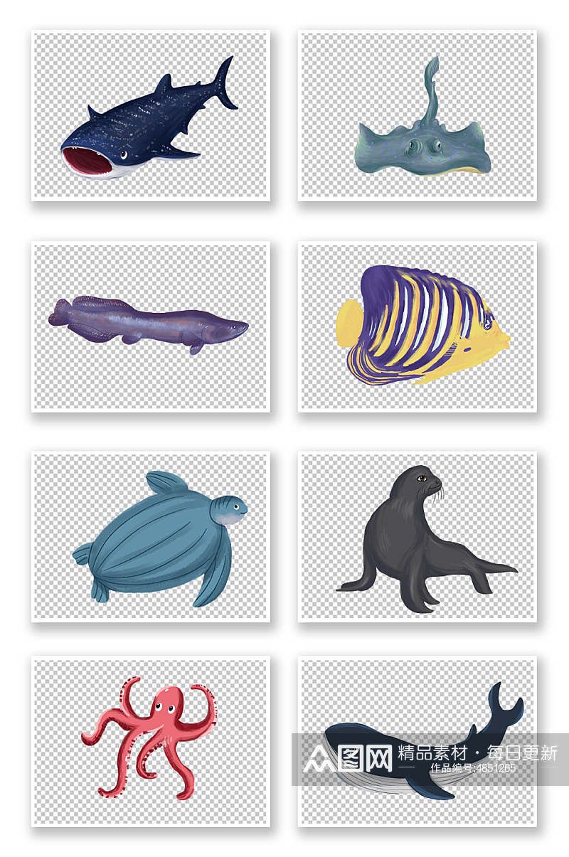 鲨鱼海龟海洋海底动物生物元素插画素材