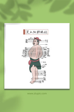 足太阳膀胱经中医推拿十四经络医学插画