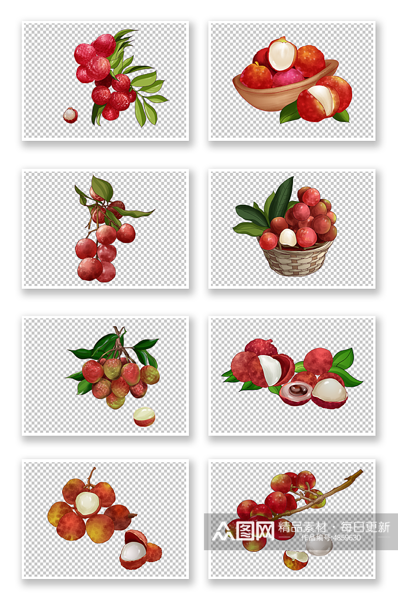 新鲜美味荔枝水果元素插画素材