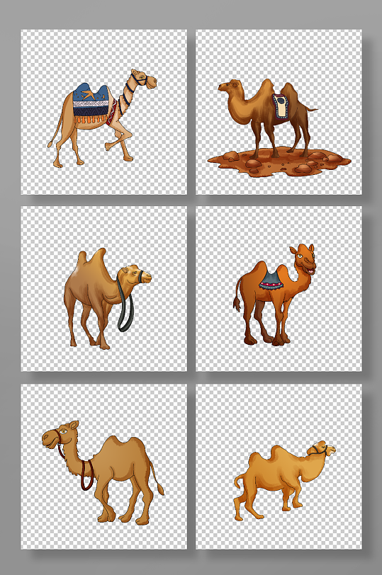 野生保护沙漠骆驼动物元素插画
