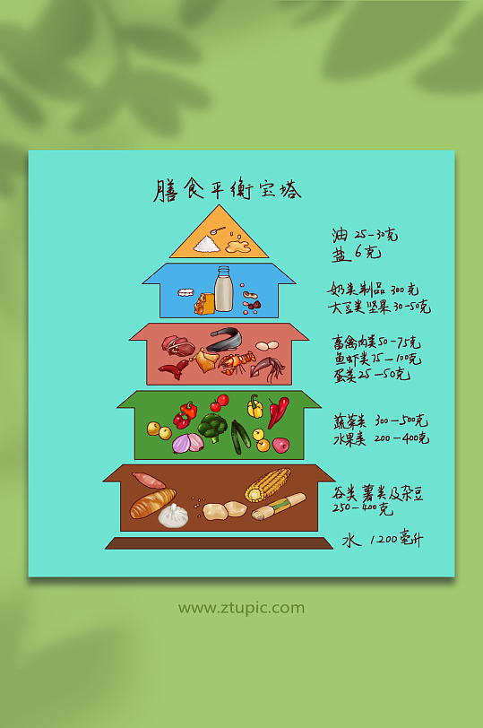 科学饮食膳食金字塔营养均衡元素插画