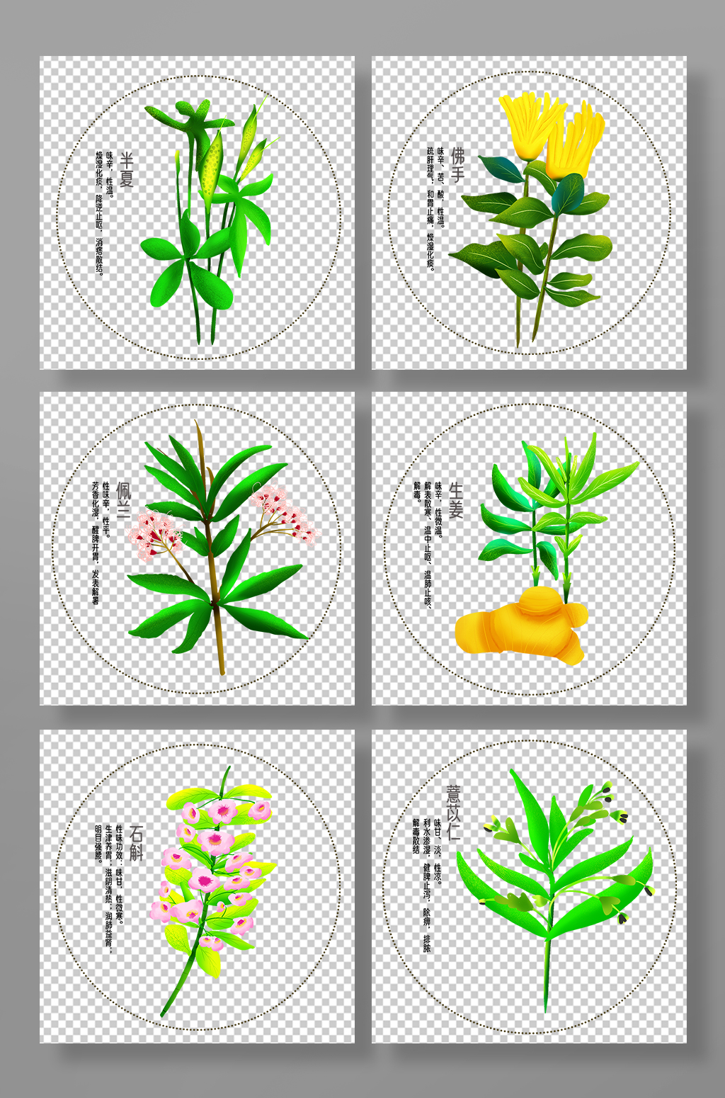简约写实中医药材元素插画素材