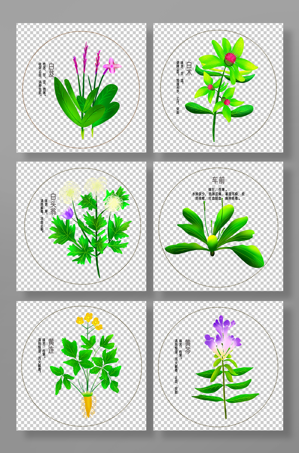 简约写实中医药材元素插画素材
