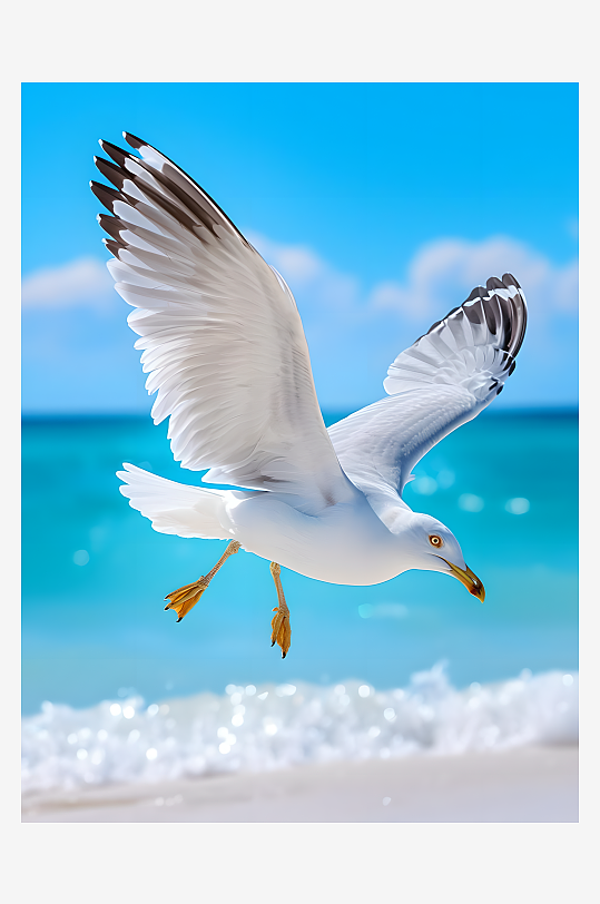 海鸥翱翔在天空中海浪拍打着礁石