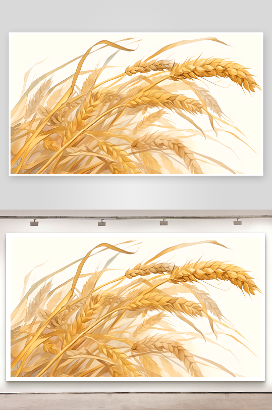 麦子麦穗平面插画白色背景图