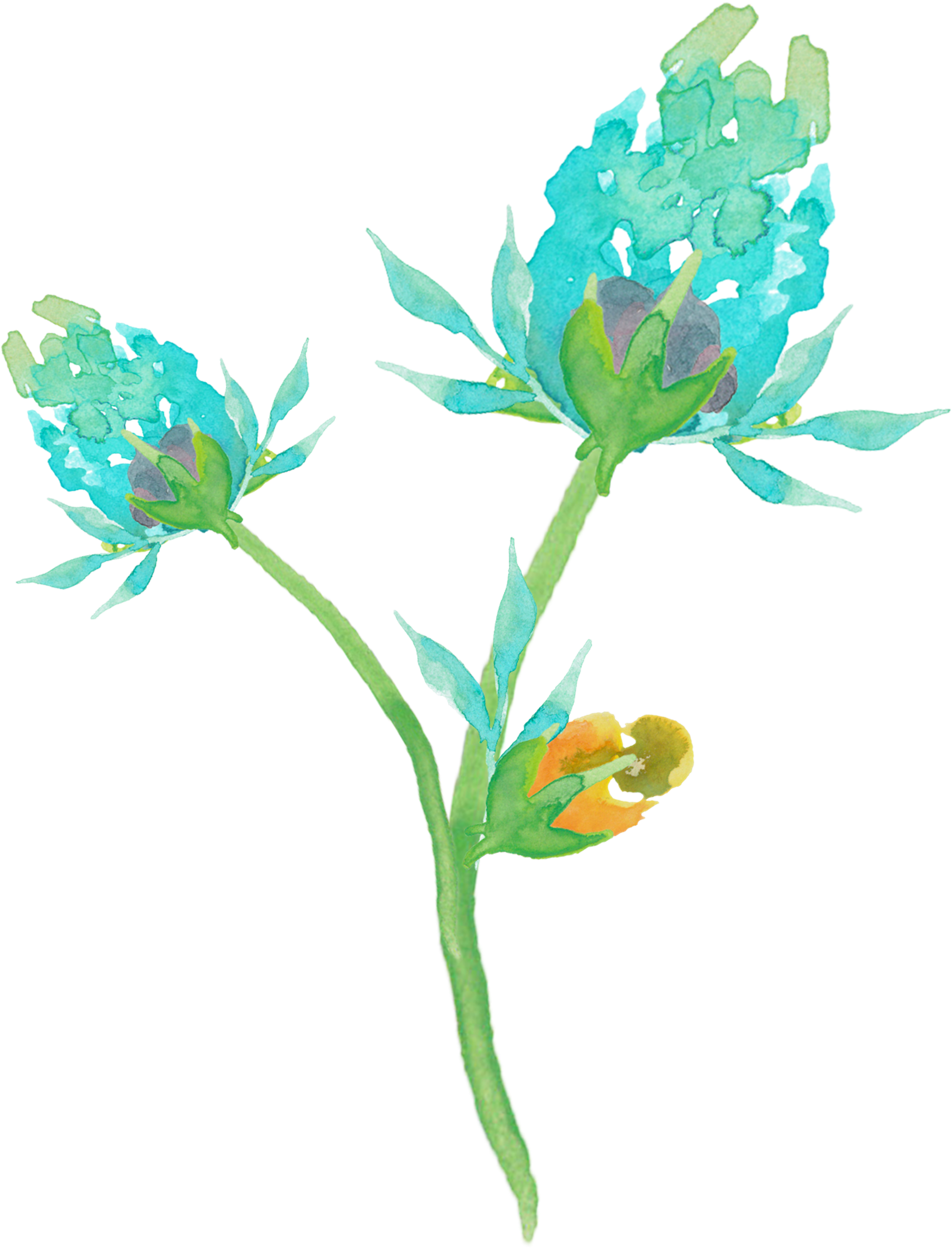 水彩鲜花花朵设计素材素材