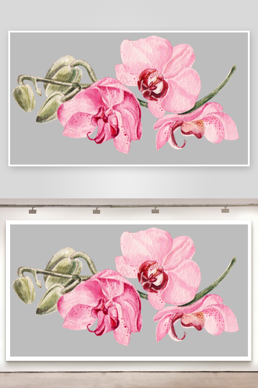 盛开鲜花PNG透明背景素材素材