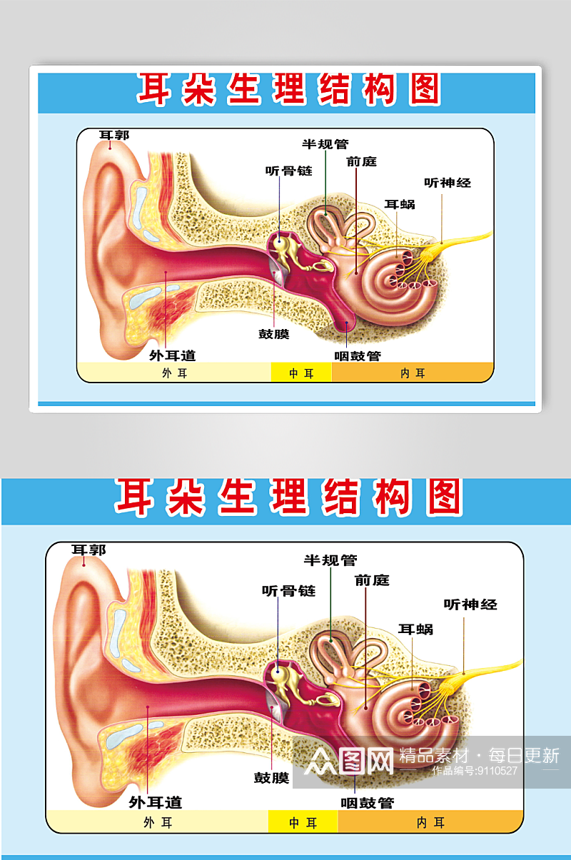 可视采耳耳朵解剖图素材