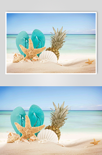 沙滩贝壳高清图片