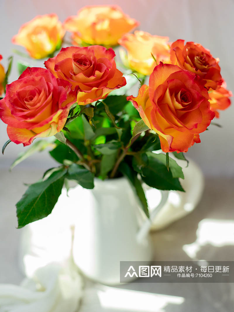 玫瑰花花束摄影高级感素材