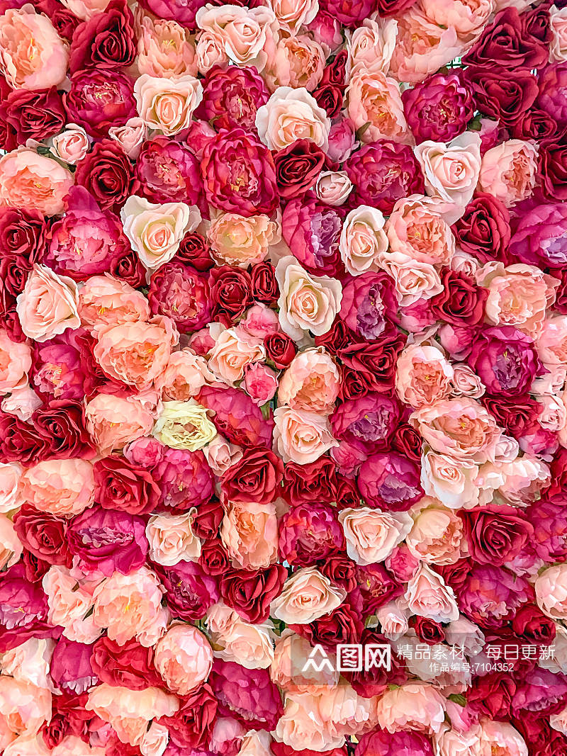 简约玫瑰花花束照片背景素材