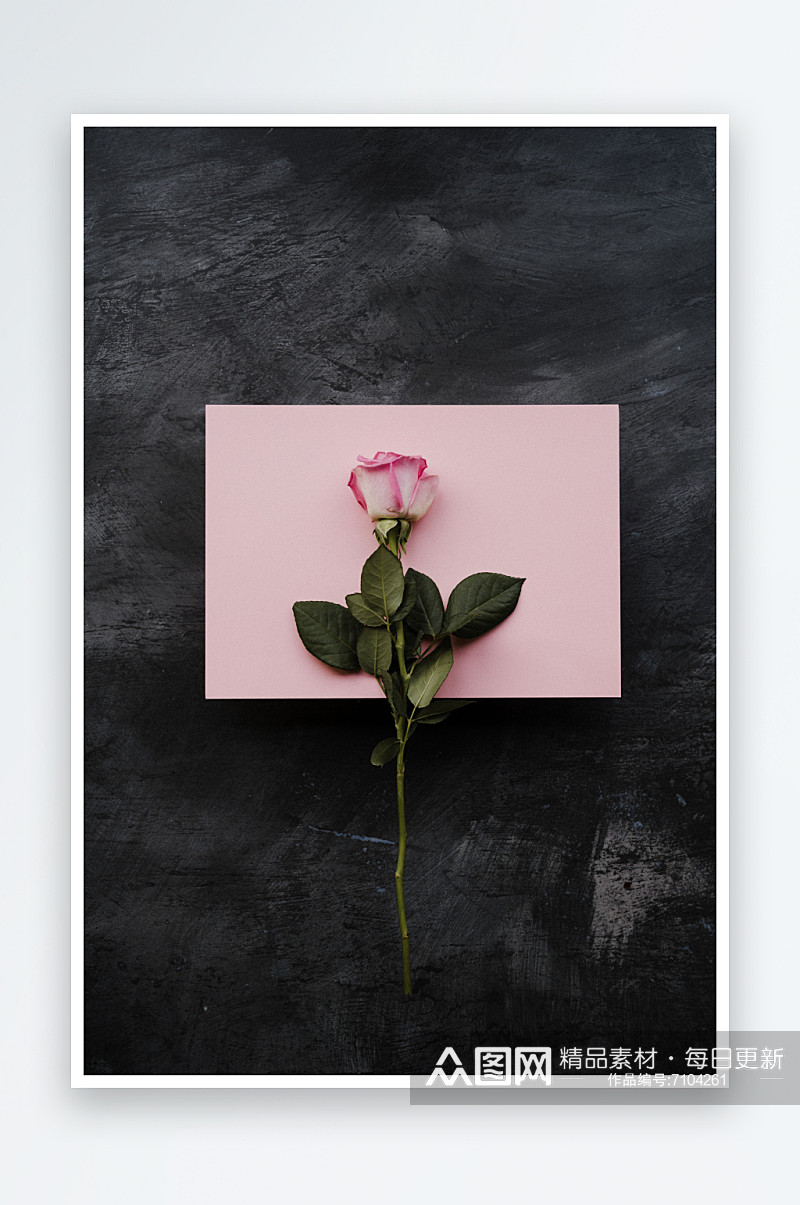 玫瑰花花束摄影高级感素材