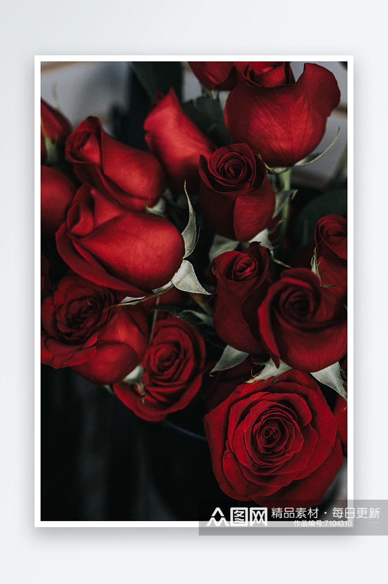 玫瑰花花束照片背景素材