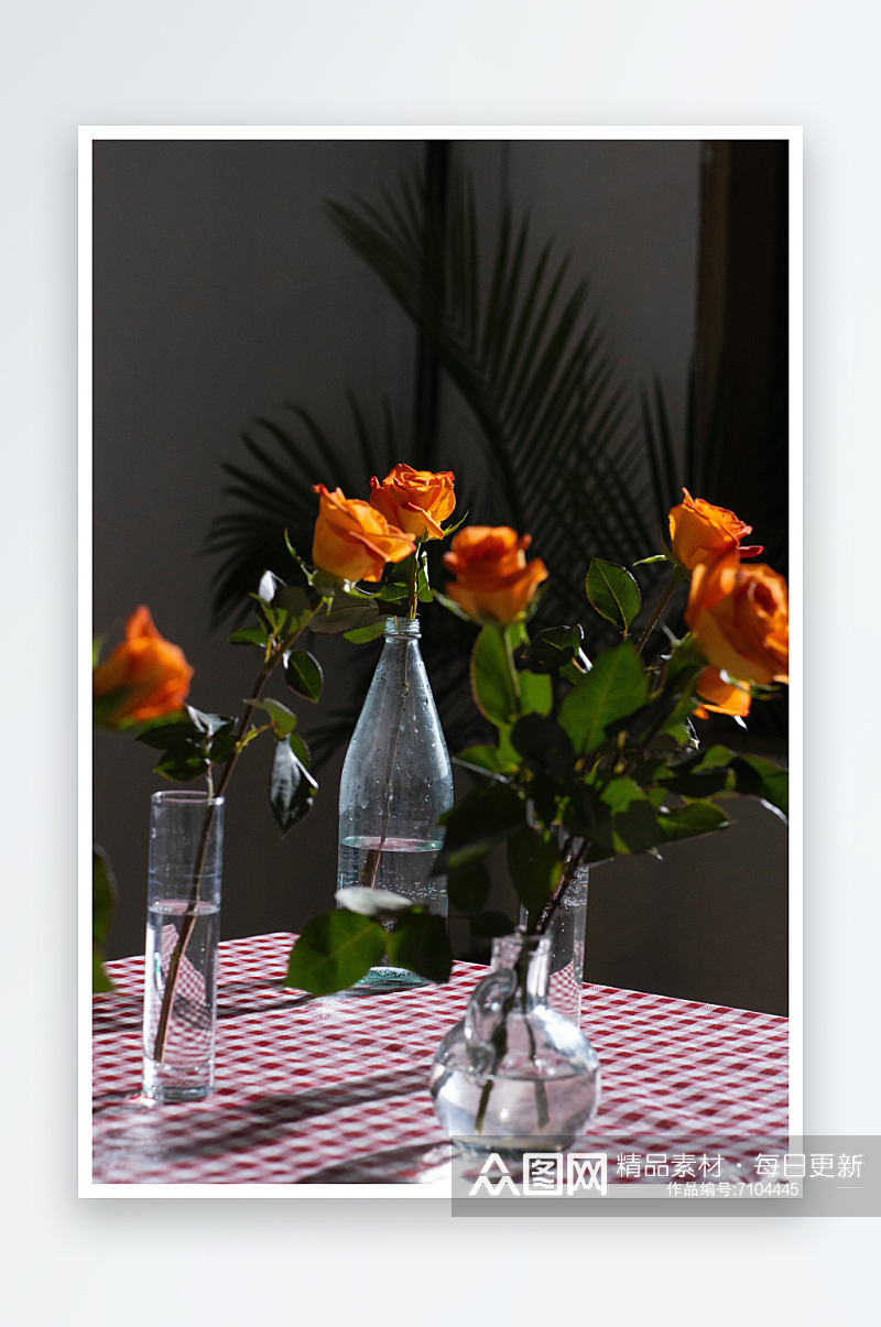 玫瑰花花朵摄影浪漫情人节素材素材