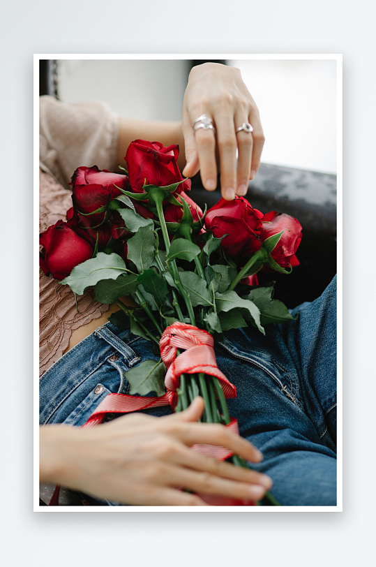 玫瑰花花朵摄影浪漫情人节白色背景