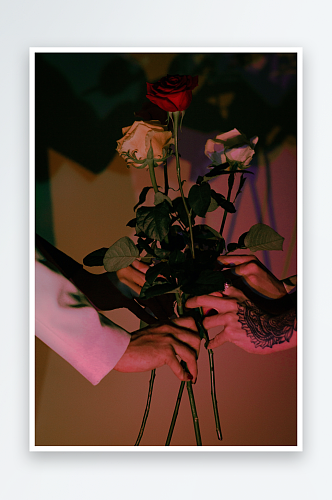 玫瑰花花束主题背景高级感