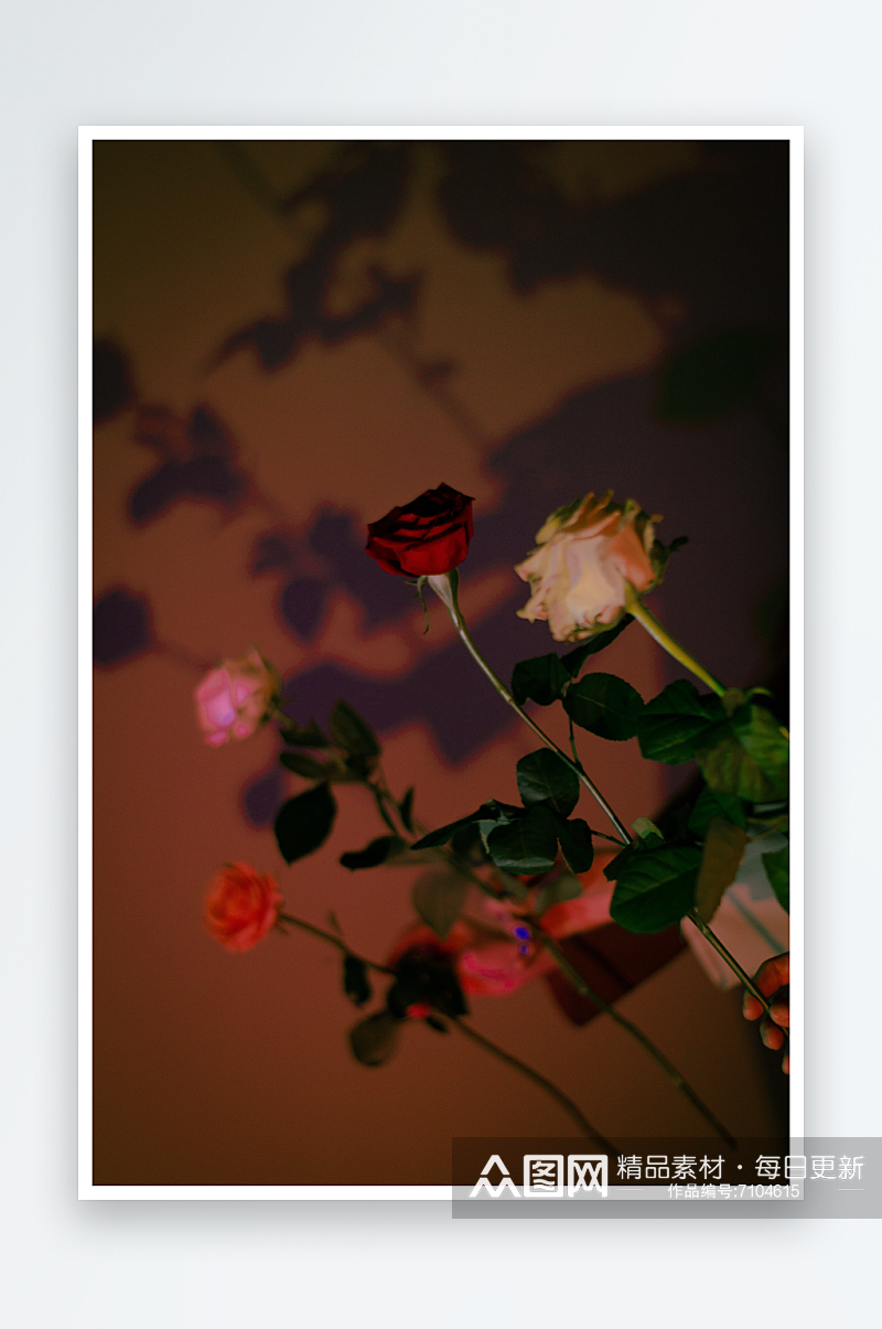 玫瑰花花束主题背景高级感素材