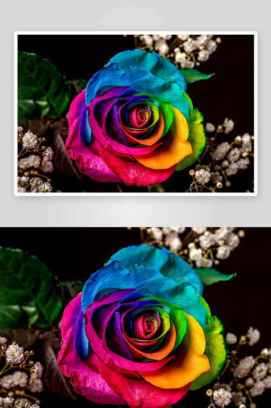 玫瑰花主题背景高级感-众图网