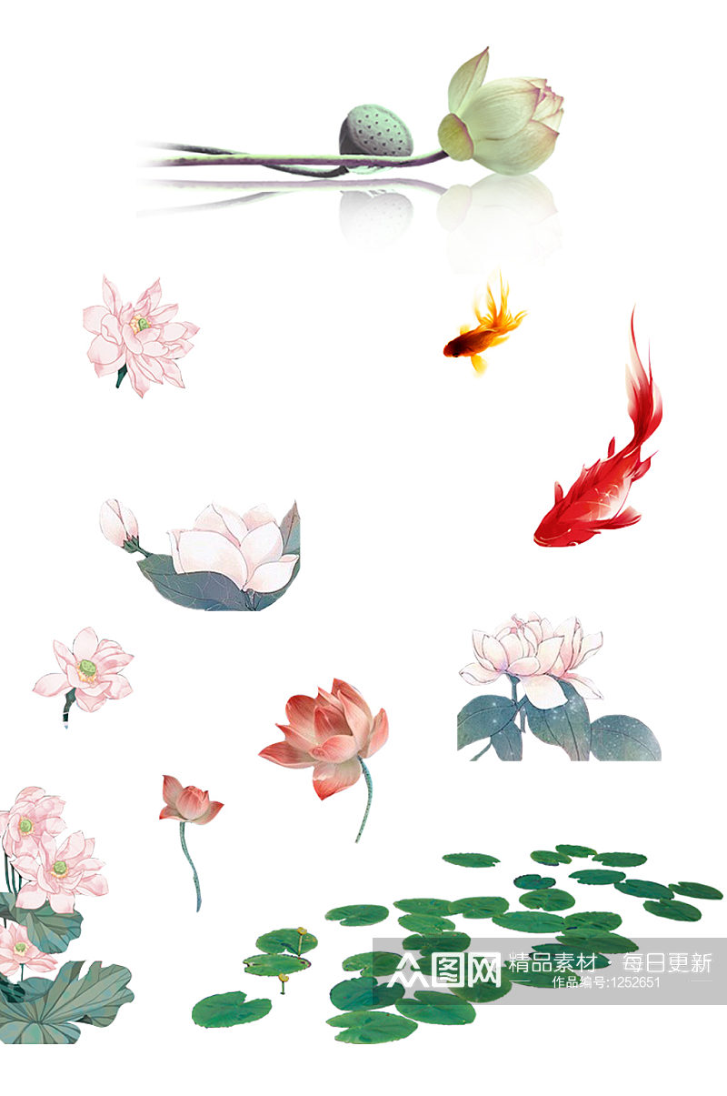 各种花朵植物手绘插画水彩装饰免抠PNG素材