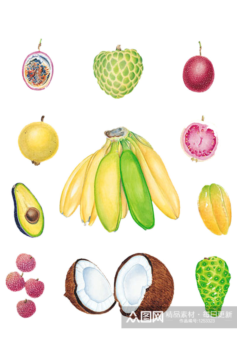 香蕉荔枝牛油果椰子石榴彩色元素免抠素材