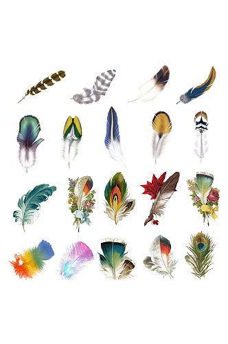 各种手绘水彩羽毛装饰元素免抠PNG