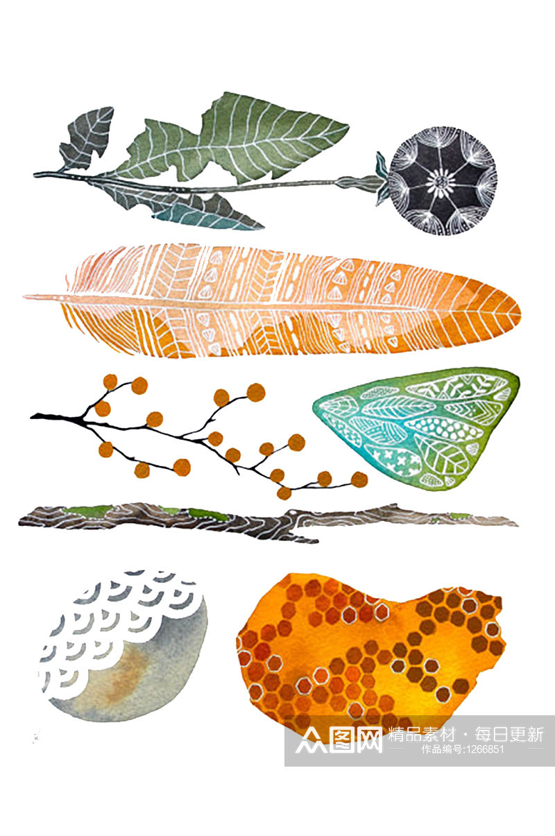 羽毛植物手绘水彩装饰元素免抠PNG素材