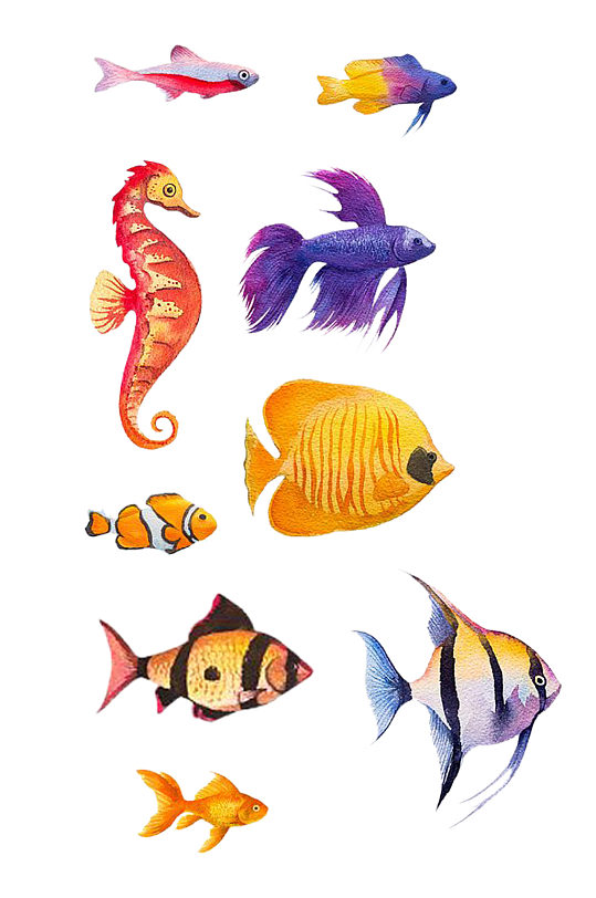 手绘插画水彩海洋动物鱼群免抠PNG