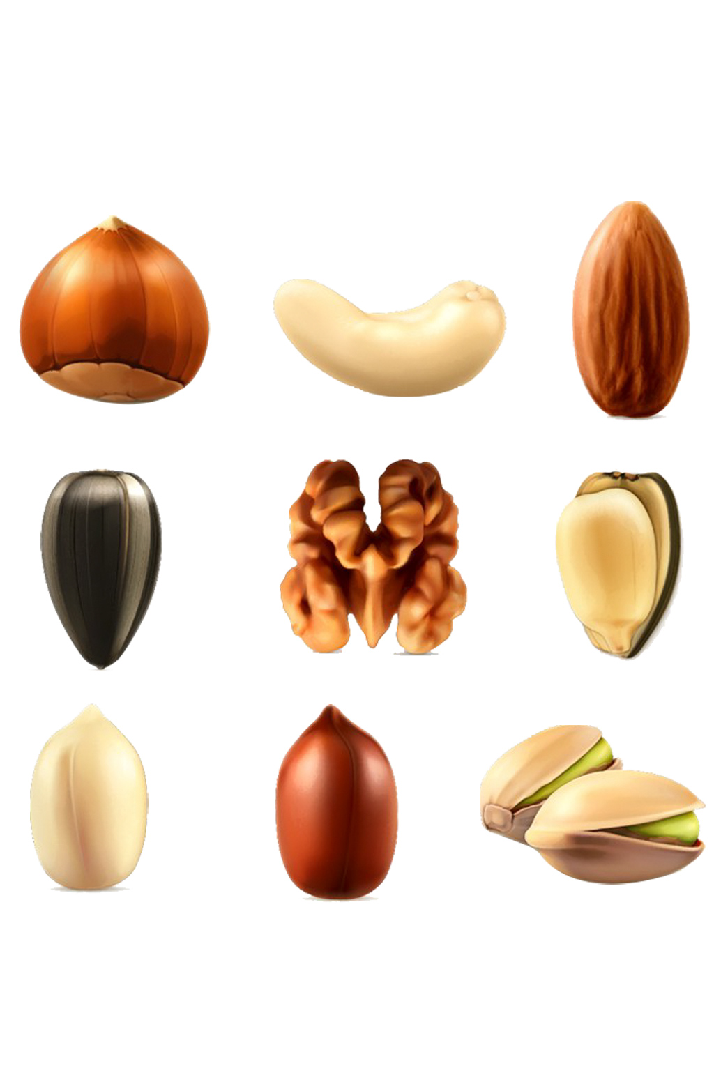 手绘插画坚果杏仁开心果板栗免抠素材