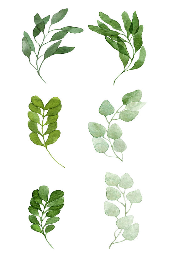 手绘插画多款绿叶植物树木草丛装饰免抠素材