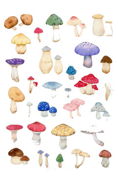 多款手绘插画蔬菜蘑菇美食素材免抠元素