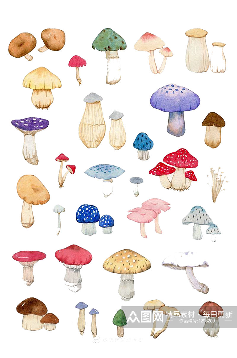 多款手绘插画蔬菜蘑菇美食素材免抠元素素材