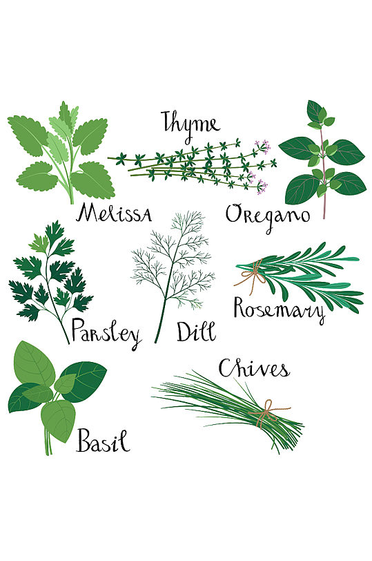 手绘植物免抠图图片 手绘植物免抠图素材下载 众图网