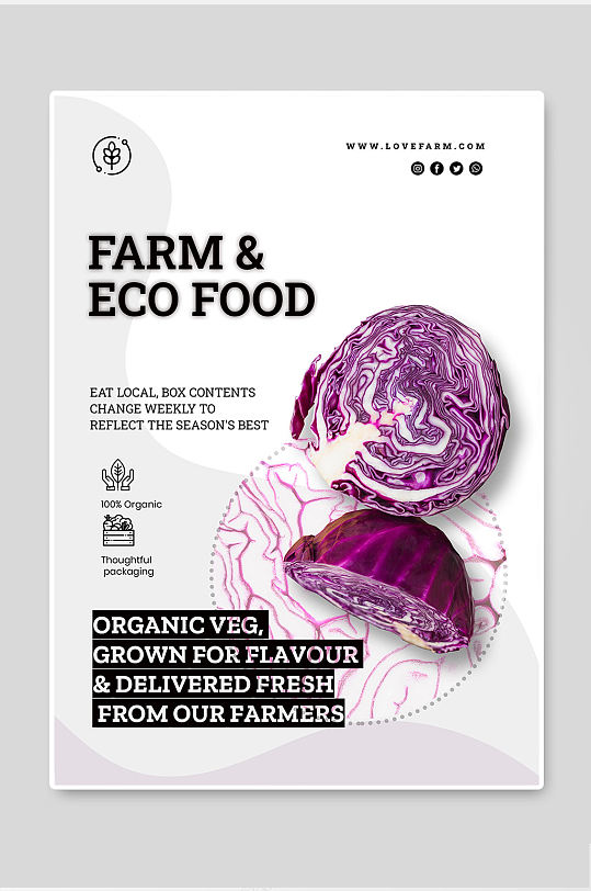 紫甘蓝蔬菜海报简约大气高级清新