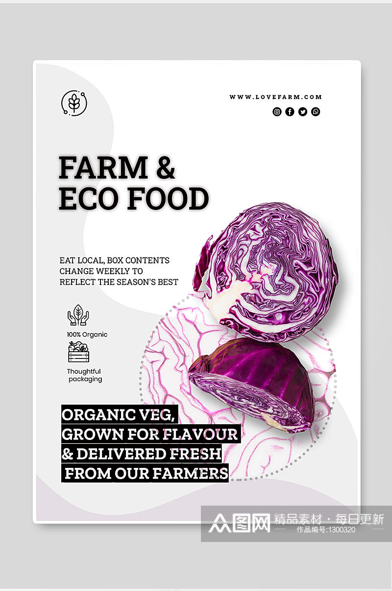 紫甘蓝蔬菜海报简约大气高级清新素材