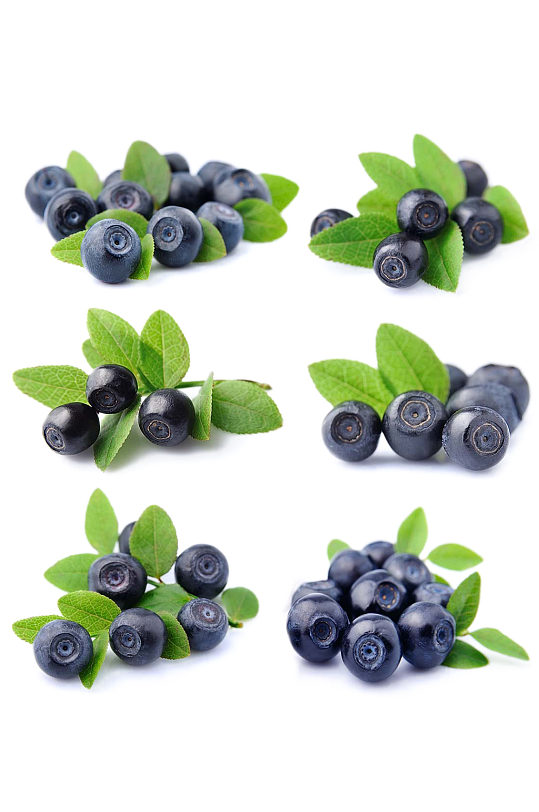 多款拍摄蓝莓水果健康美食素材免抠元素