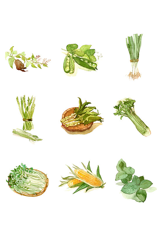 多款蔬菜水果萝卜美食食物素材免抠元素