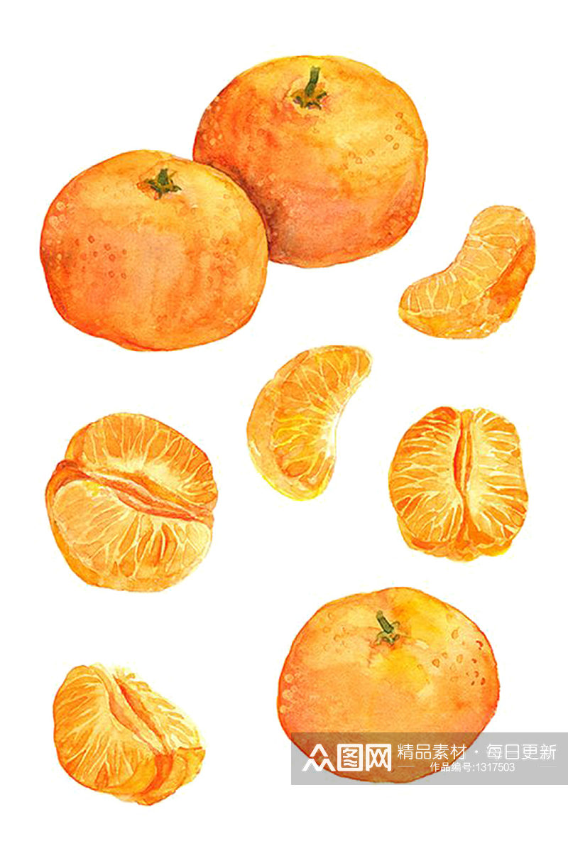 手绘新鲜的香甜健康橘子果肉果蔬元素免抠素材