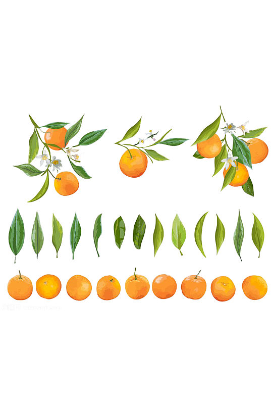 手绘新鲜的香甜健康柑橘果肉水果元素免抠