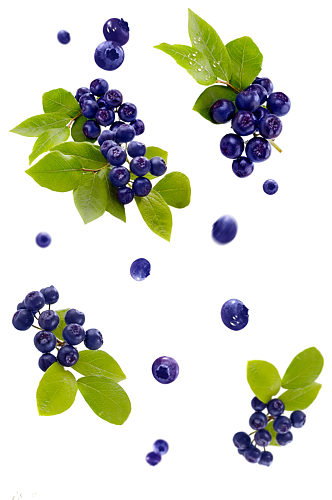 新鲜的香甜元素蓝莓果肉水果蔬菜免抠