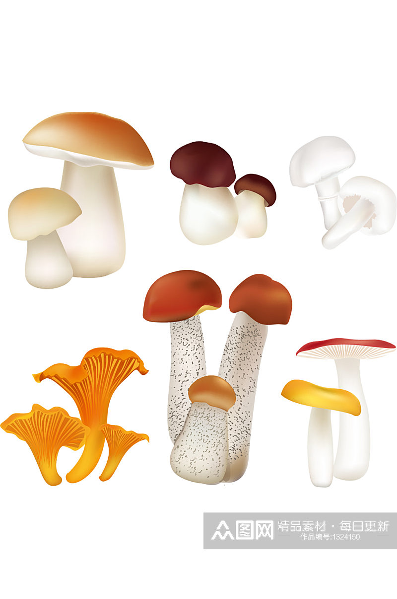 手绘新鲜的健康有机多款蘑菇果蔬元素免抠素材