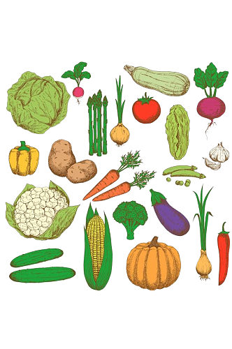 手绘新鲜的健康有机多款果蔬元素免抠