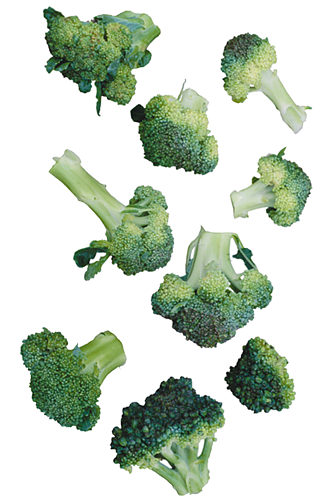 新鲜的蔬菜绿色西兰花水果蔬菜免抠元素