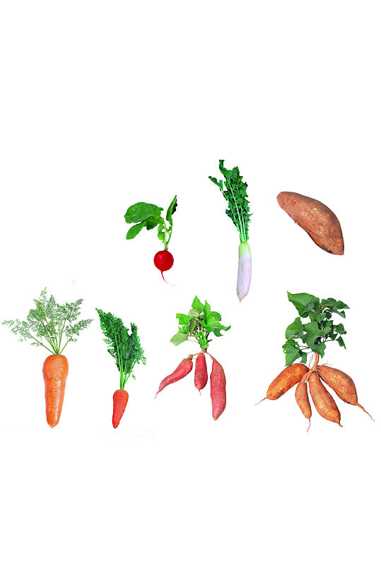 萝卜红薯蔬菜根茎植物食物免抠元素