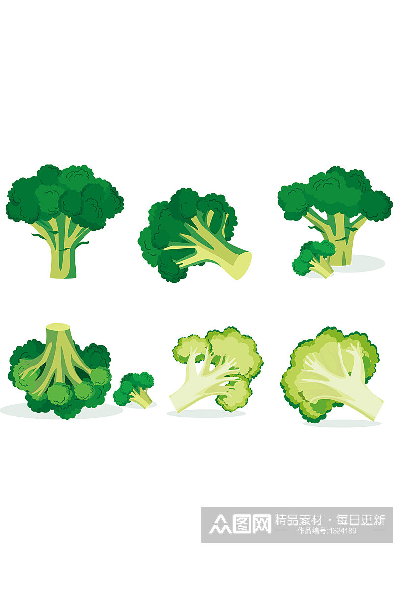 手绘插画矢量图蔬菜西兰花花菜免抠元素素材