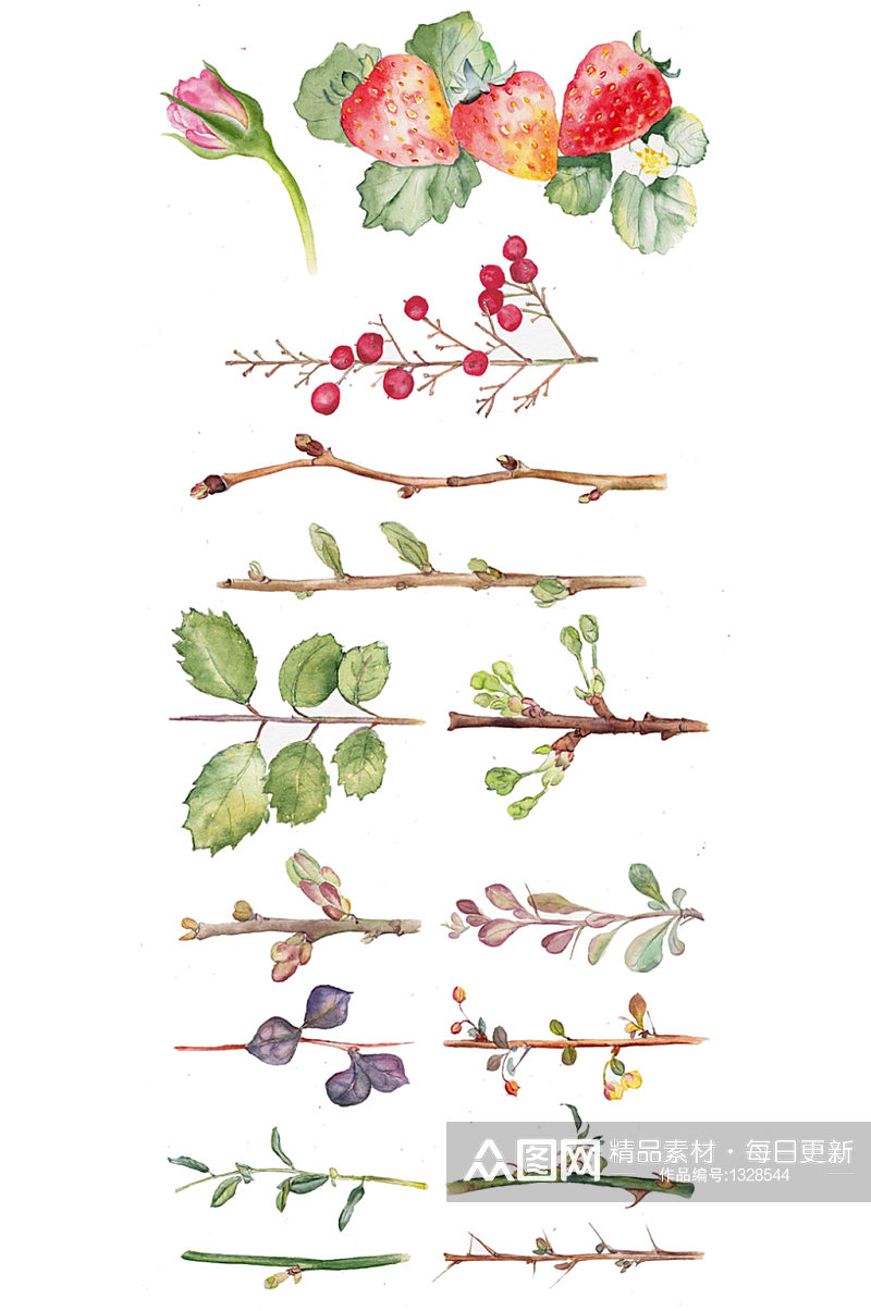 手绘插画水墨草莓和各种花枝植物免抠元素素材