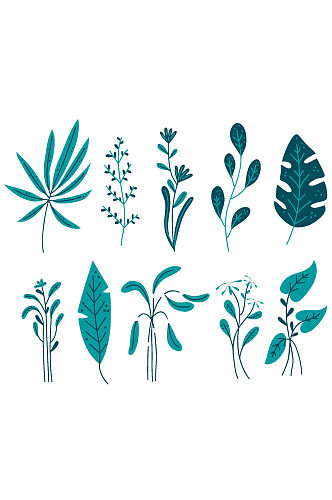植物树叶花朵手绘插画矢量免抠元素