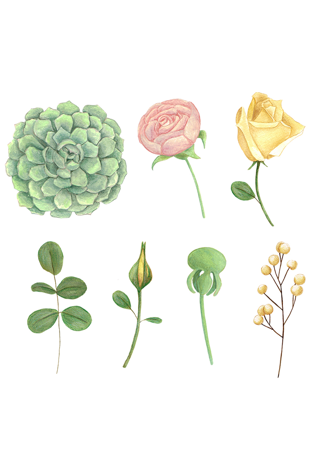 手绘植物合成花朵效果素描手绘免抠元素素材